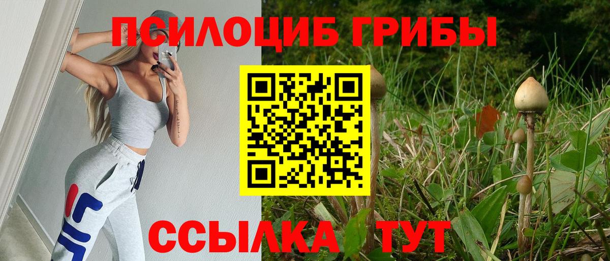 Йошкар-Ола  Псилоцибиновые грибы MAGIC MUSHROOMS  Вход с VPN 