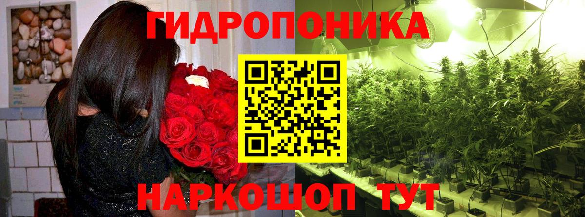 Каннабис Ganja  Бошки Шишки VHQ  Вход с VPN  Йошкар-Ола  Шишки марихуана White Widow  Бошки марихуана ГИДРОПОН 